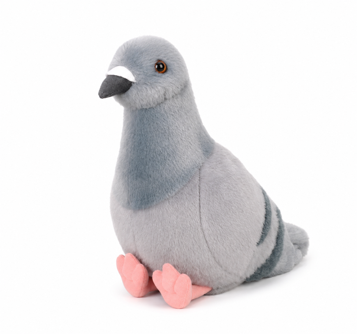 Pigeon Cuddle Friend